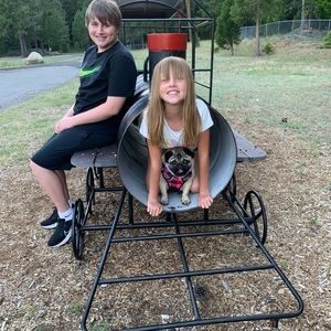 Meet your Posher, Alli